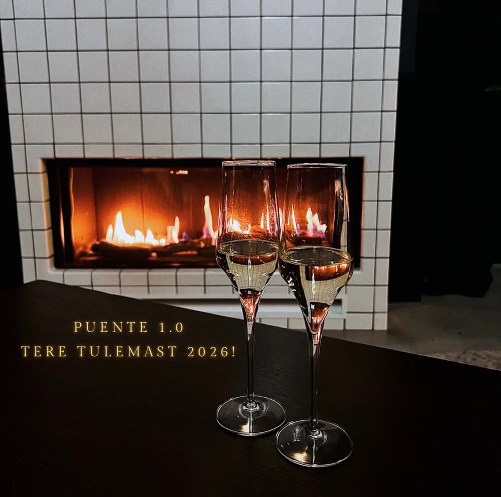 Puente 1.0 Tere Tulemast 2026